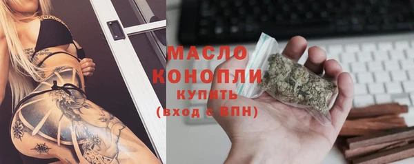гидра Богородицк