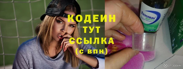 гидра Богородицк