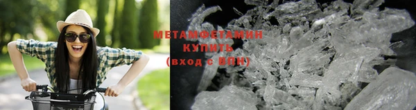 гидра Богородицк