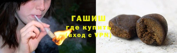 гидра Богородицк