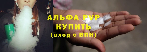 гидра Богородицк