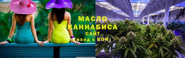 гидра Богородицк