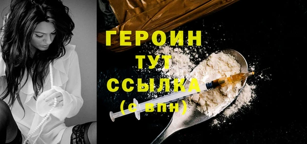 гидра Богородицк